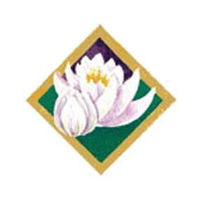 Ama-Deus International